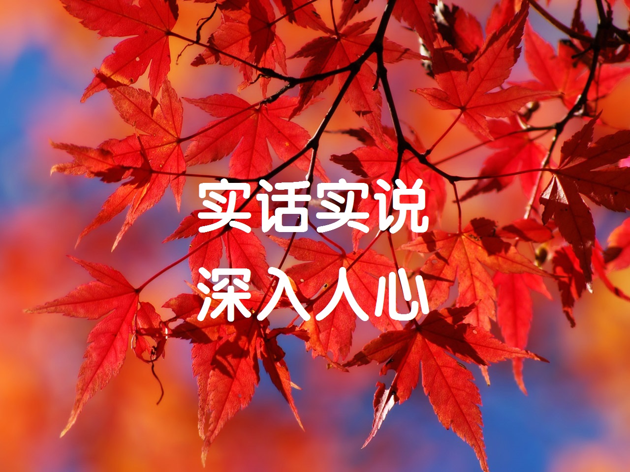 实话实说,深入人心 – 酷Dee -【正能量点赞】